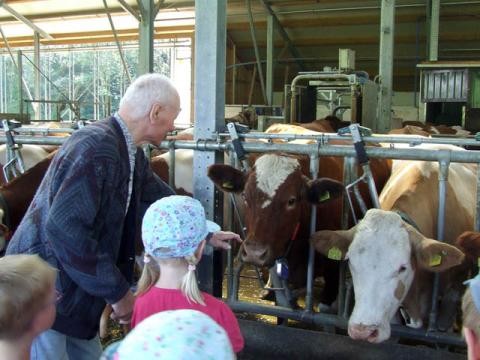 Kinder beobachten den Bauer und die Kühe am Fressgitter