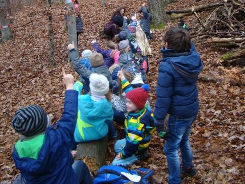 Unterricht im Wald mit einer Gruppe von Kindern.