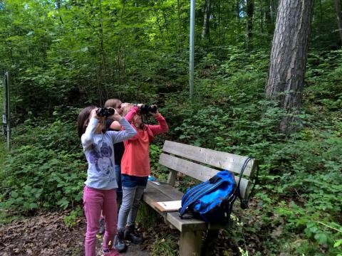 Kinder schauen durch ein Fernglas im Wald.