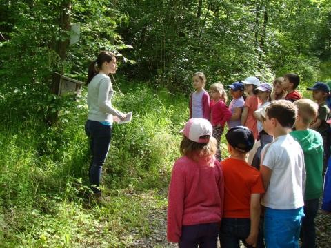 Eine junge Frau, die ein freiwilliges ökologisches Jahr macht, ist mit einer Gruppe von Kindern im Wald unterwegs.
