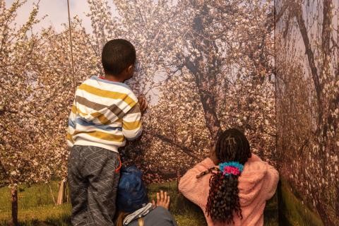 Foto: Kinder entdecken die neue Aktionswand „Streuobstwiese“ (Bildnachweis: Stadt Sindelfingen)