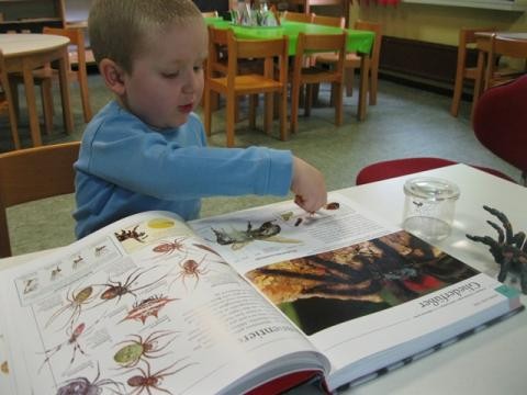 EIn Kind informiert sich im Naturbuch über Spinnen