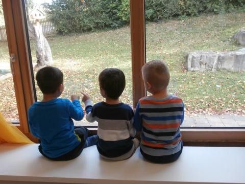 Kinder sitzen vor dem Gartenfenster