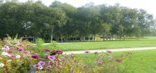 Sommerhofenpark mit Beet und Birkenwäldchen